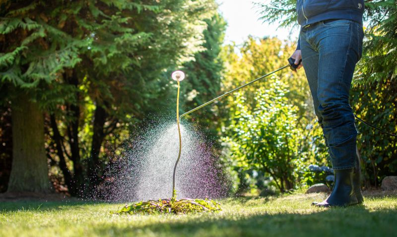 Thistle Control in Aiken, SC