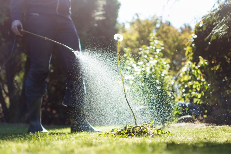 Crabgrass Prevention in Ventura County, CA
