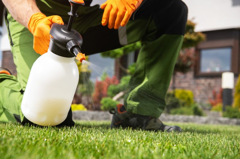 Grass Treatment in Honolulu, HI