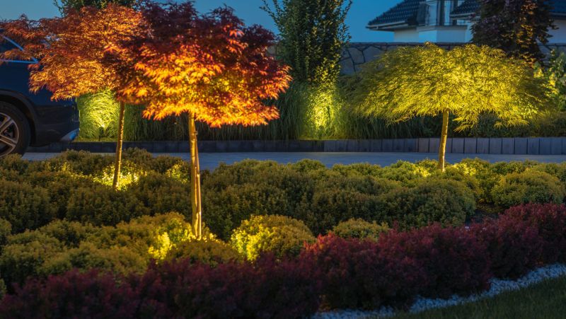 Landscape Lighting Installation in Overland Park, KS