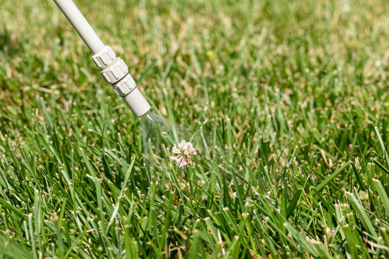 Lawn Spraying in Aiken, SC