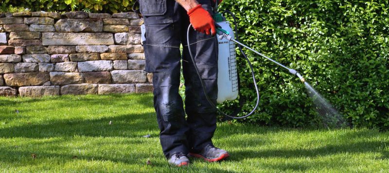 Lawn Weed Spraying in Rockwall, TX