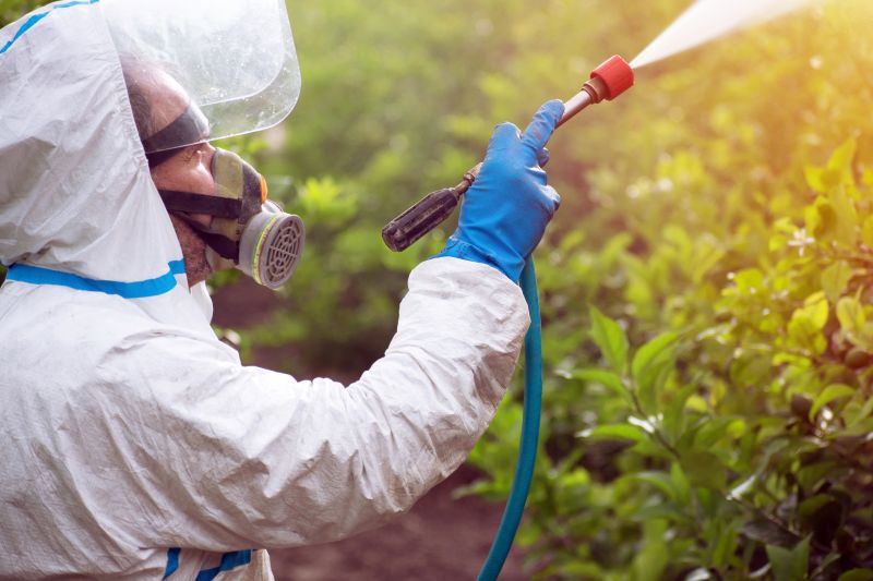 Slope Weed Control in Honolulu, HI